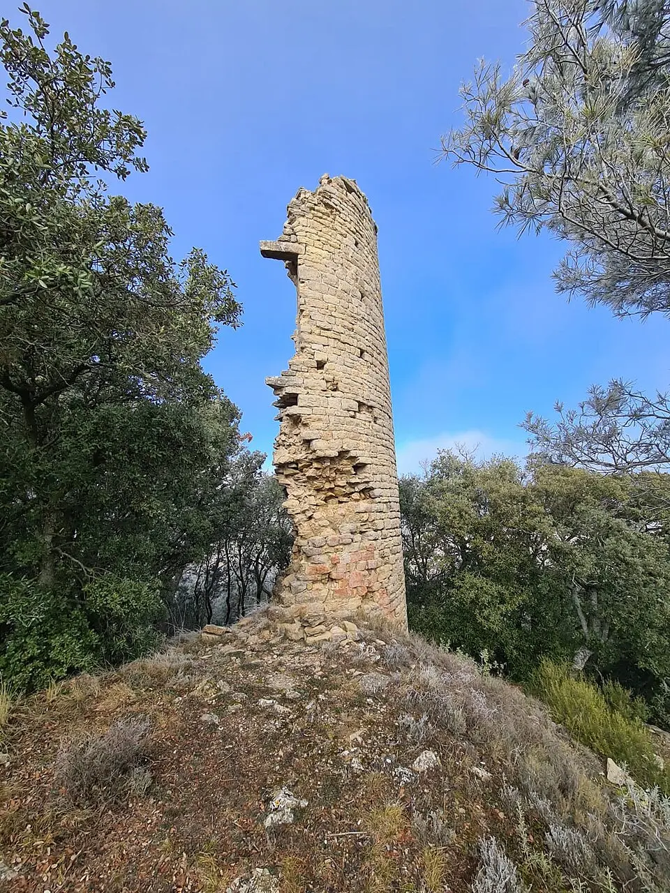 Immagine: Beusson · CC BY-SA 4.0 Castillo de Montmajor