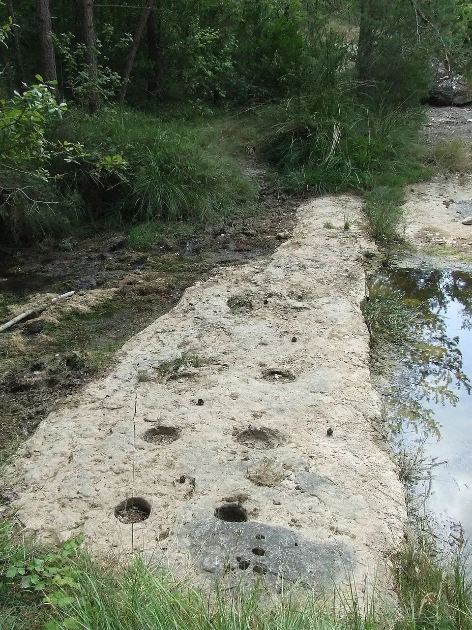 Jaciment de la Riera de Castellcir