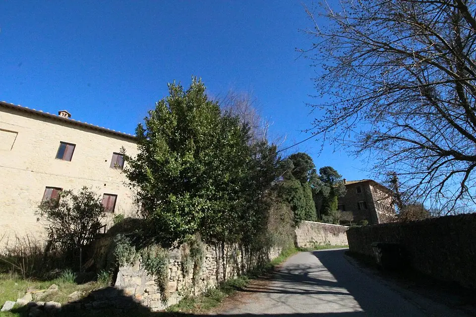 Lilliano