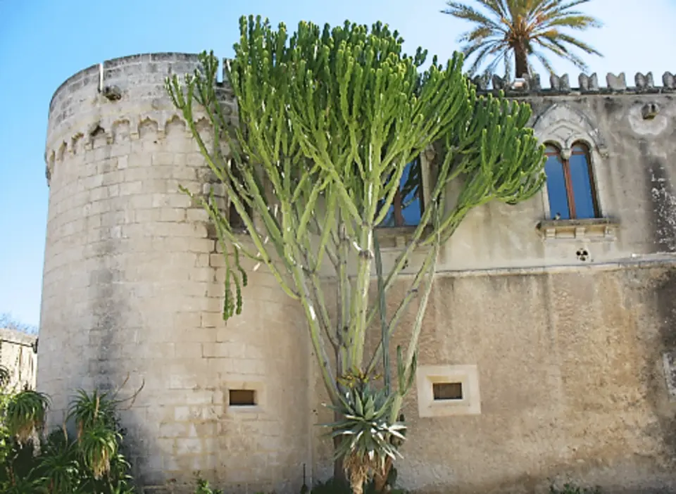 Castello della Targia