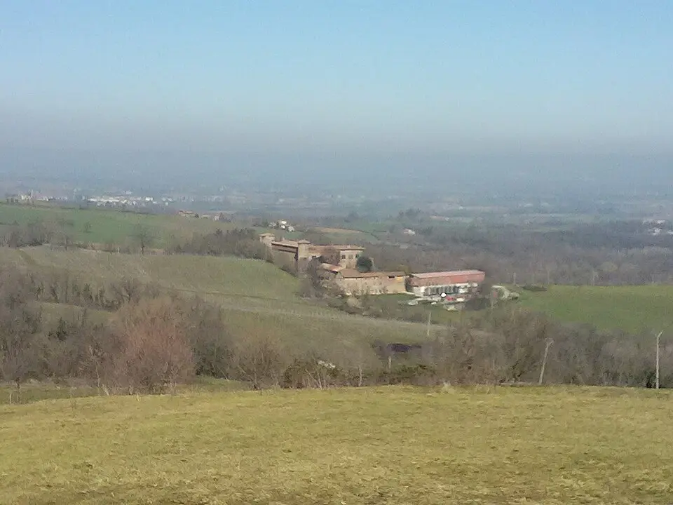 Momeliano