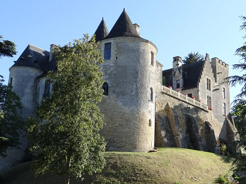 Slika: MOSSOT · CC BY-SA 3.0 château de Fayrac
