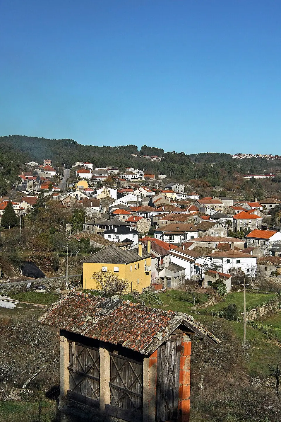 Ferreira de Aves