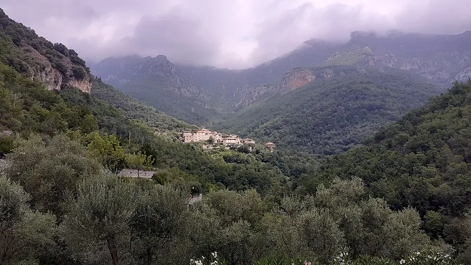 Oresine