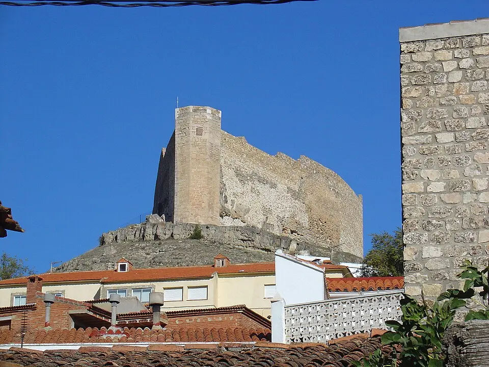 Obrázok: Retama · CC BY-SA 3.0 Cañada del Hoyo
