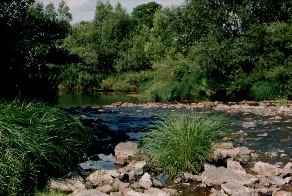 Sabolčsko-satmársko-berežská župa
