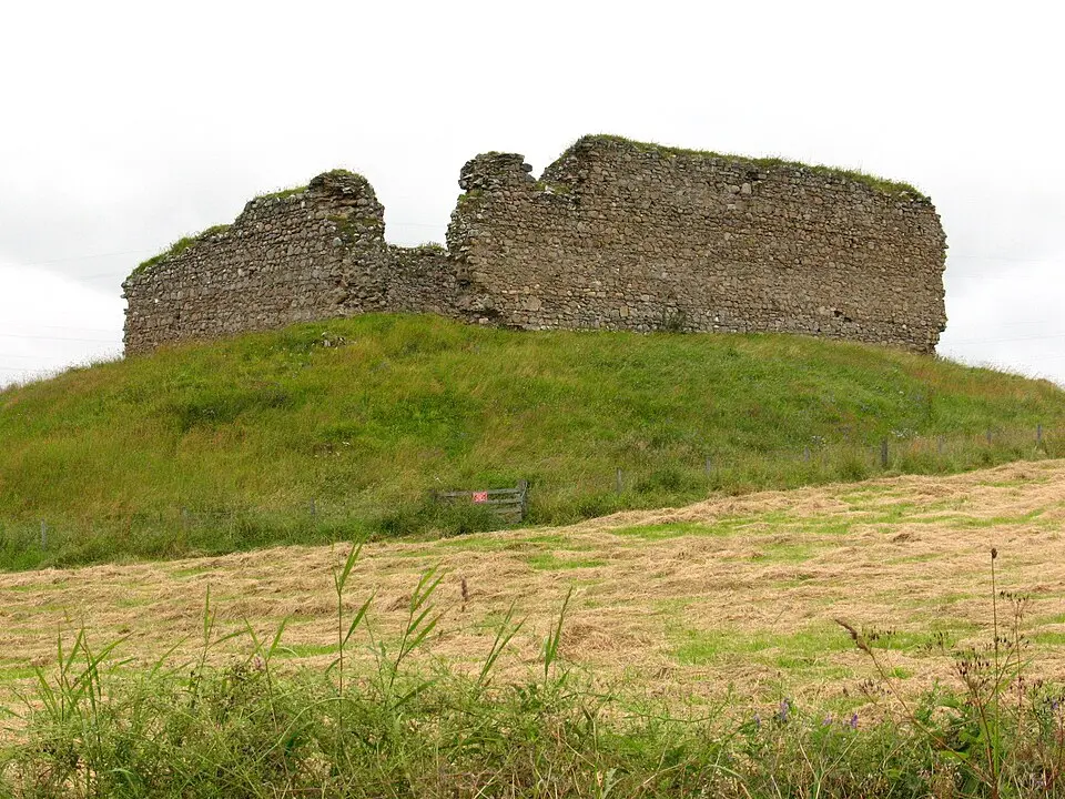 Castle Roy