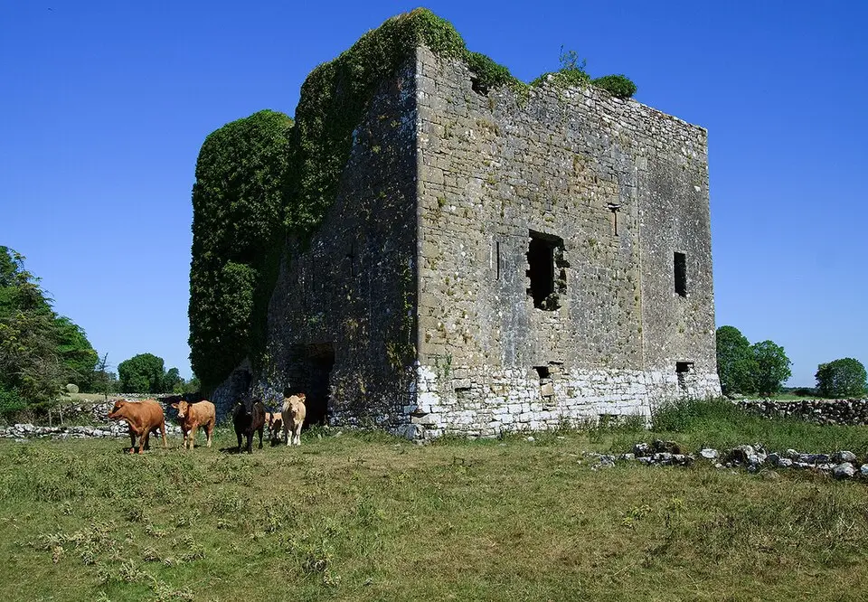 Moyne Castle
