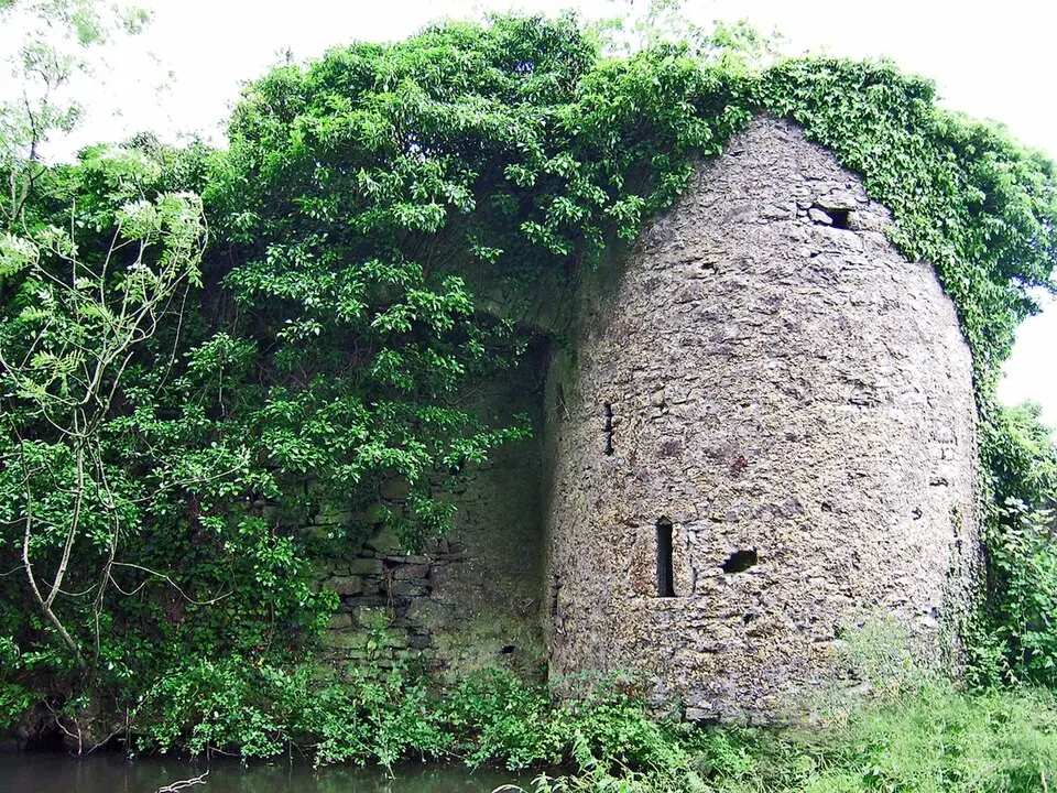 Ballykeefe Castle