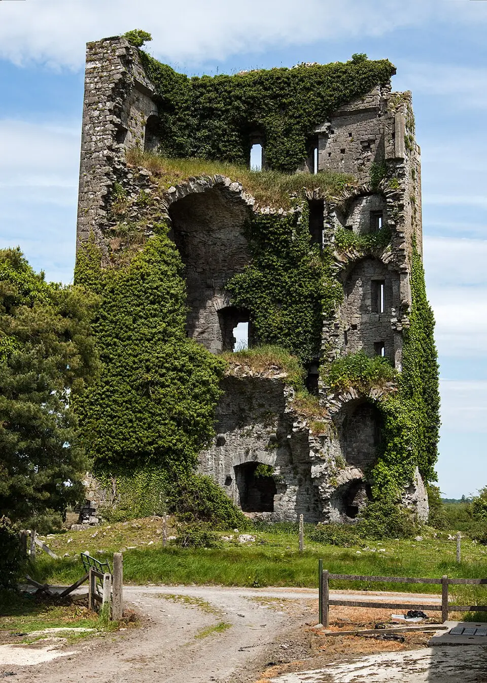 Image: Mike Searle · CC BY-SA 2.0 Ballymarkahan Castle