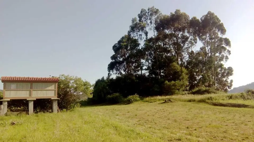 Castro de O Chao