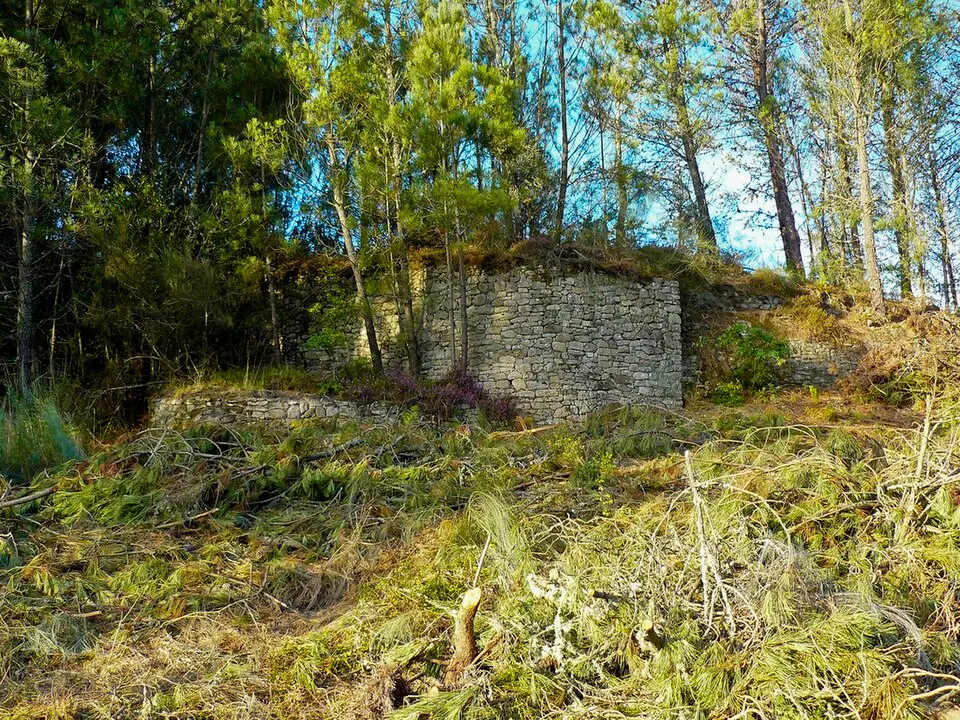 Castro del Coto de Mosteiro