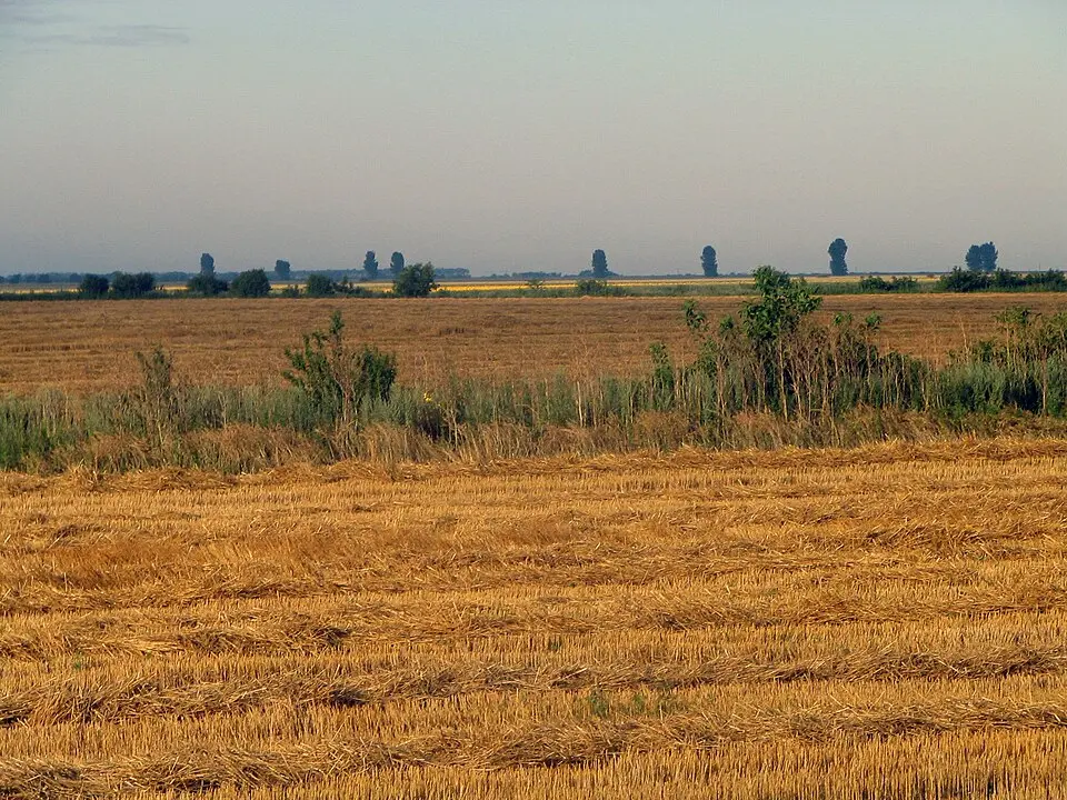 Image: Bogdan Giușcă · CC BY 2.5 Călărași
