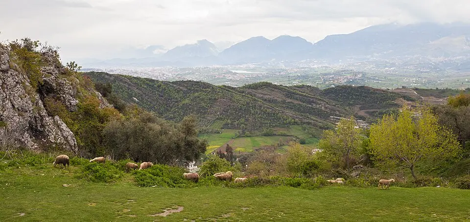 Tirana County