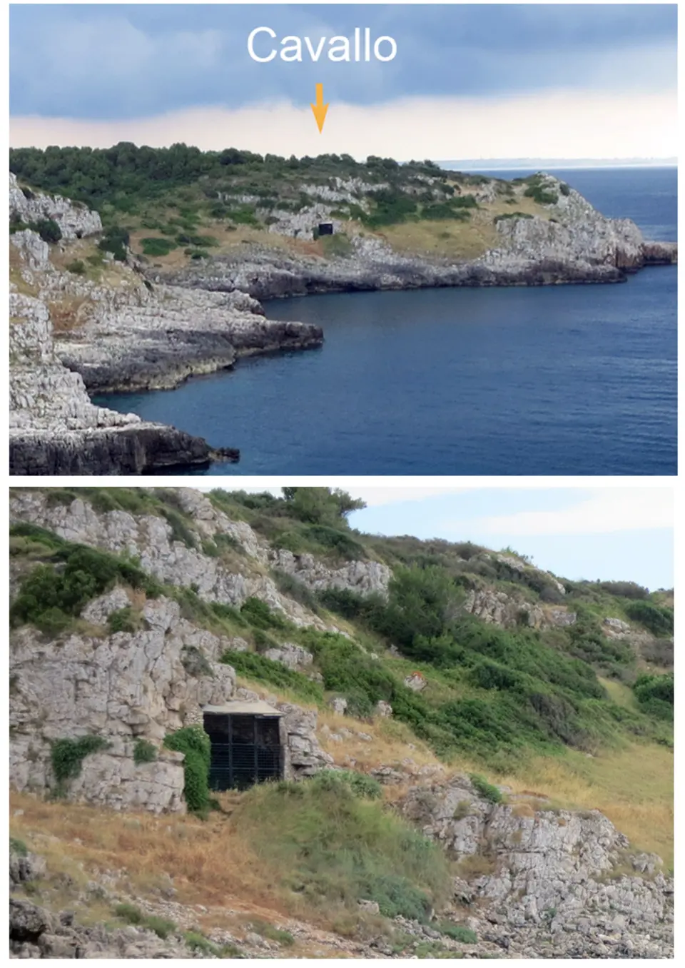 grotta del Cavallo