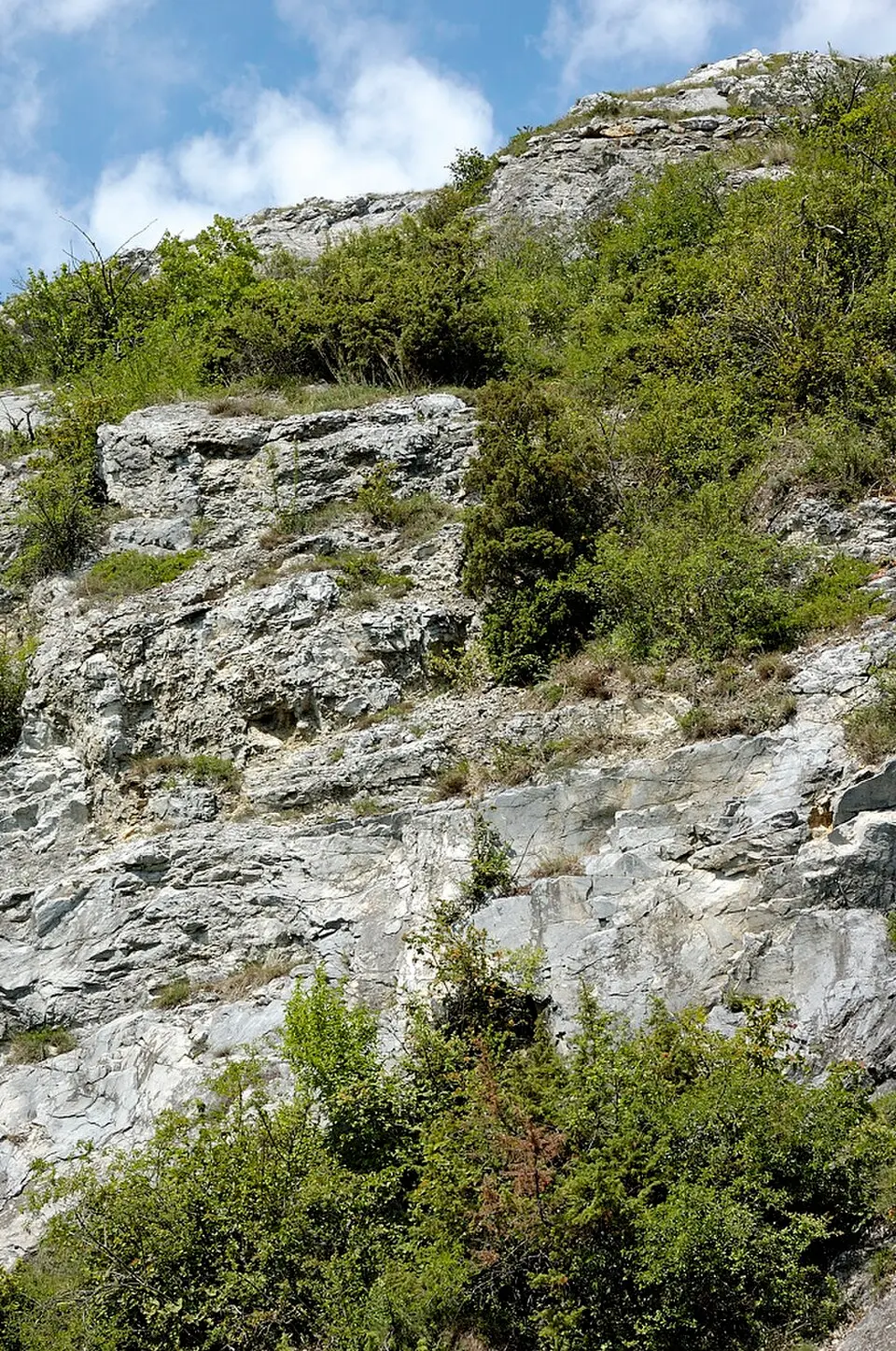 Gelsenspalte