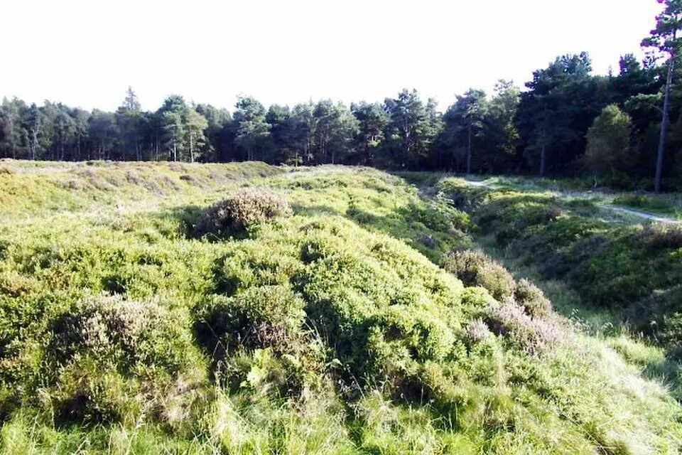 Cawthorne Camp