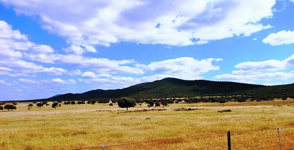 Sierra de San Pedro