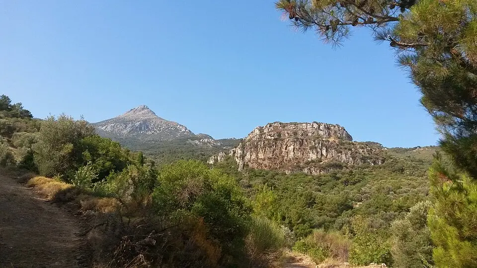 Pelinaio