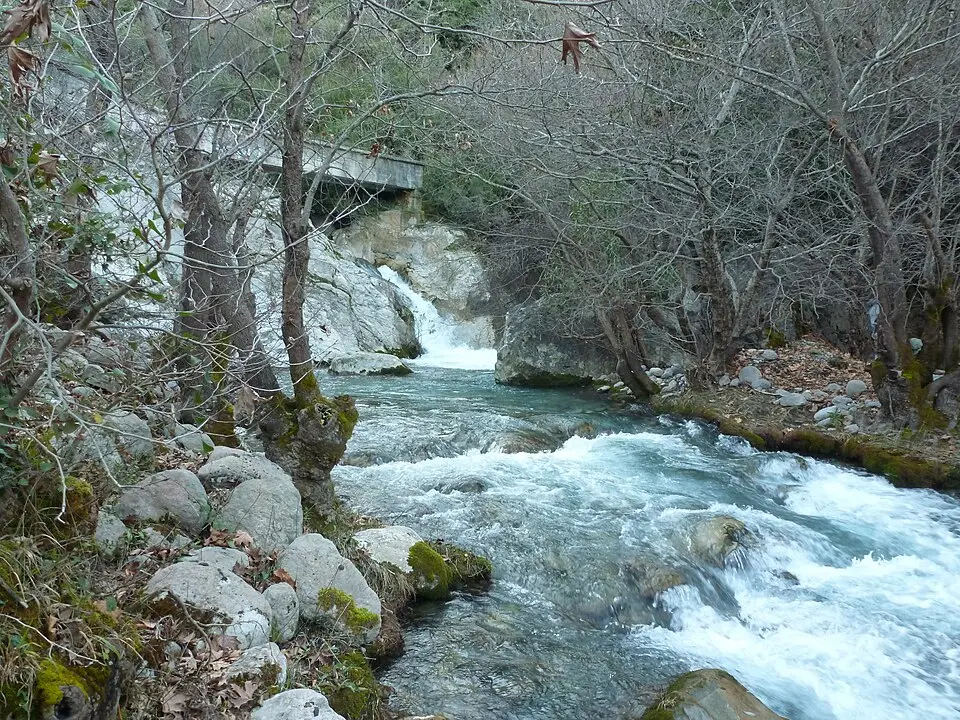 Gorgopótamos