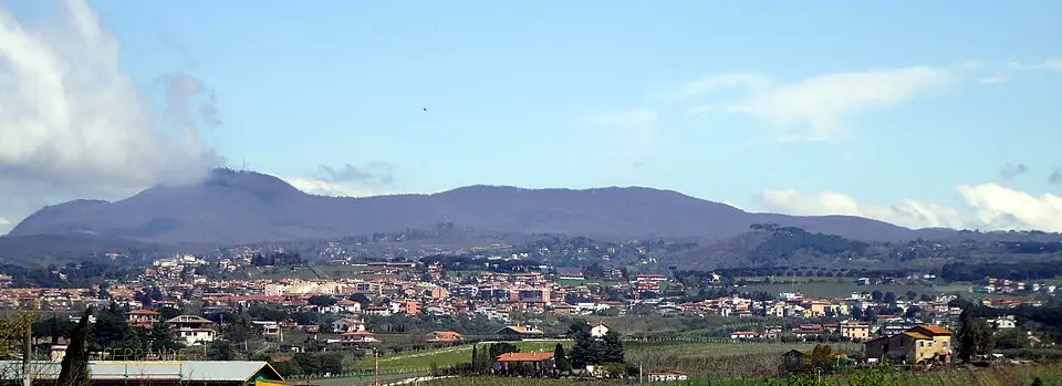 Cecchina