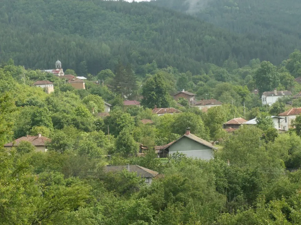 Tsegrilovtsi
