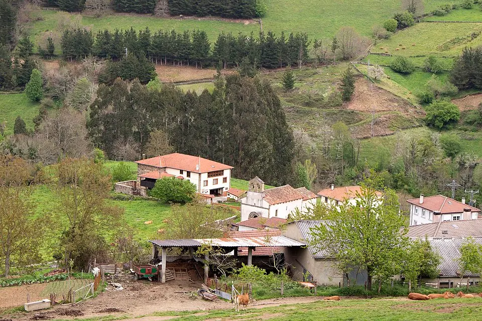 Celón