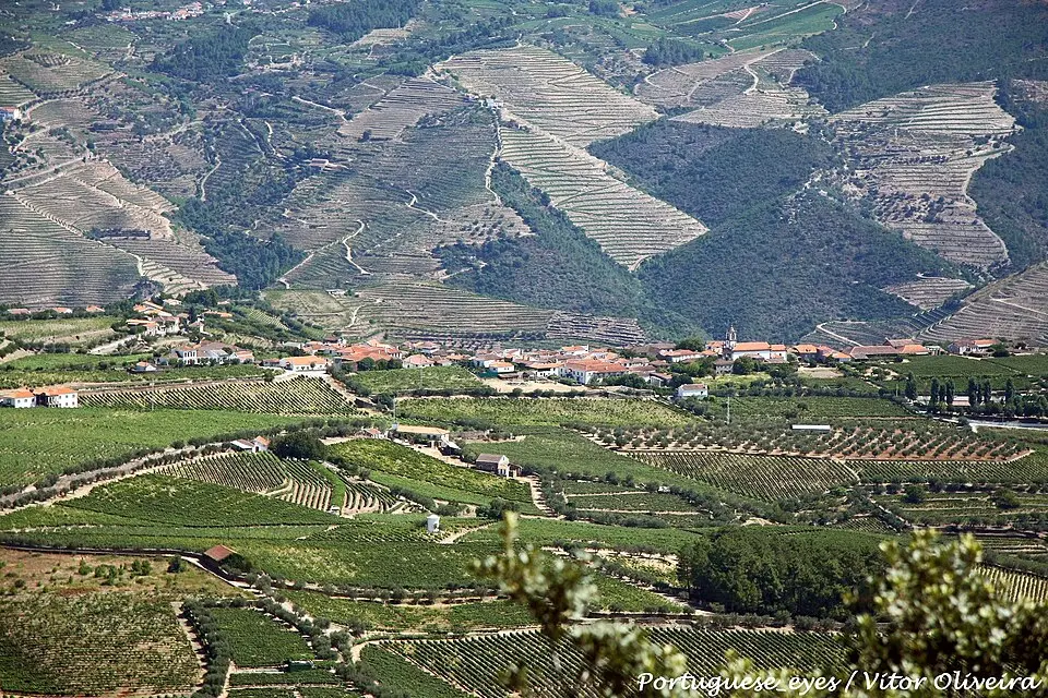 Celeirós