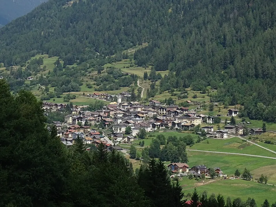 Celledizzo