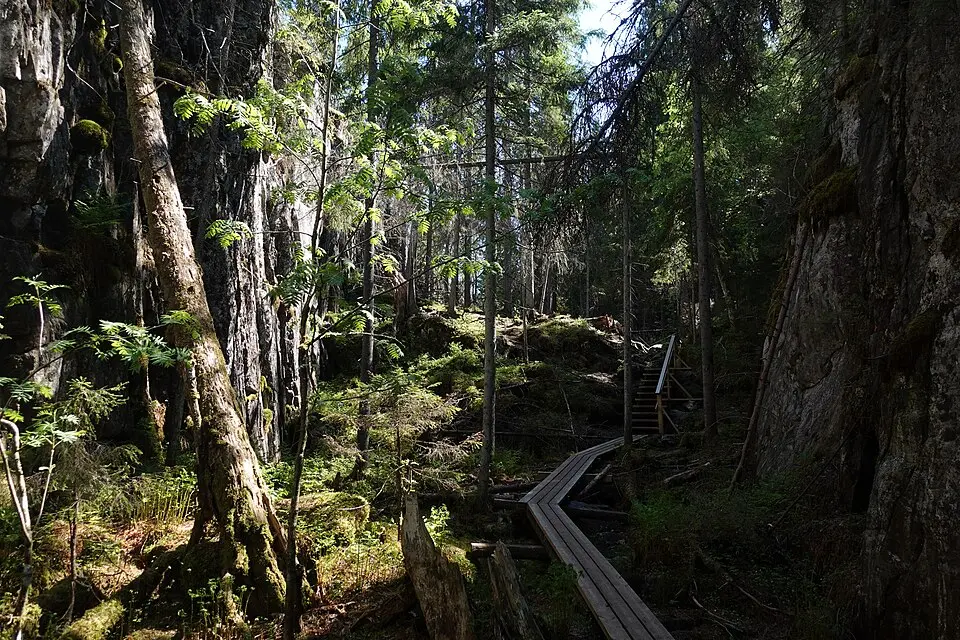 Nordsavo