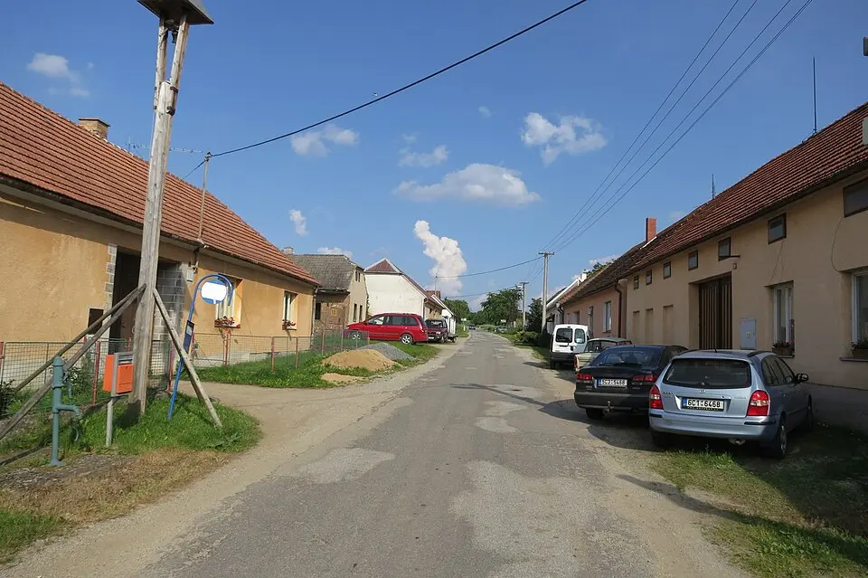 Borová