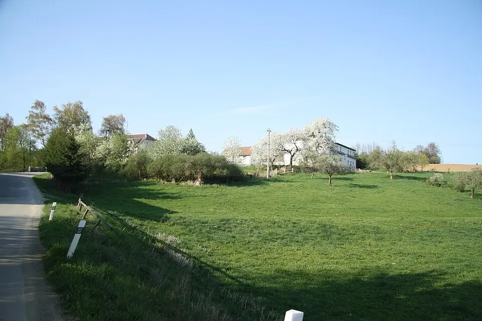 Janov