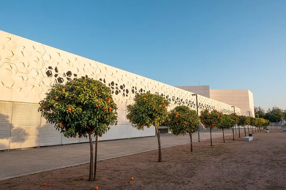 Centro de Arte Contemporáneo C4