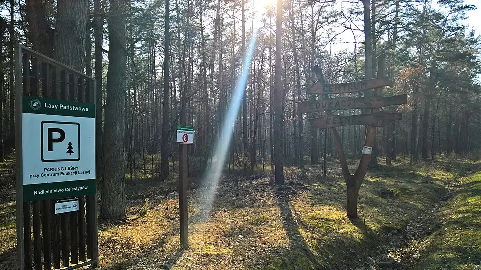 Centrum Edukacji Leśnej