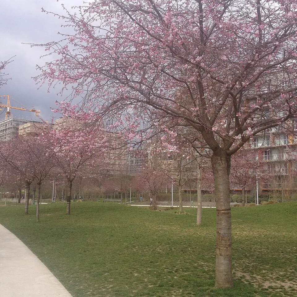 parc Clichy-Batignolles - Martin Luther King