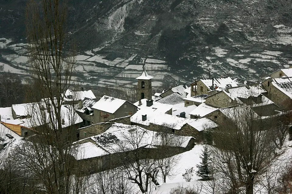 Cerler