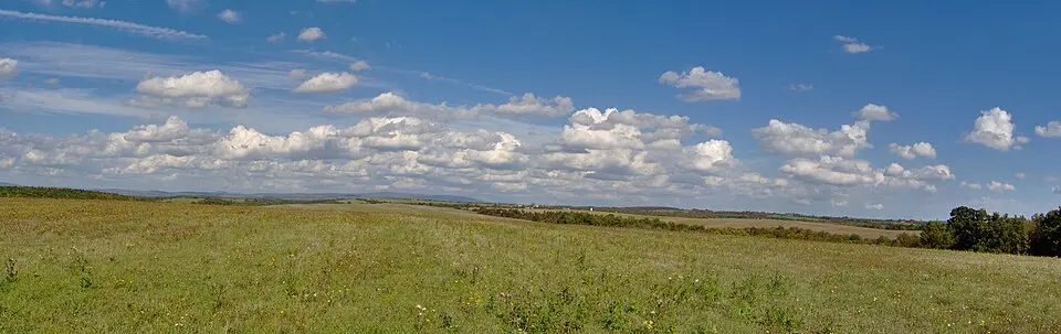 Cerovo