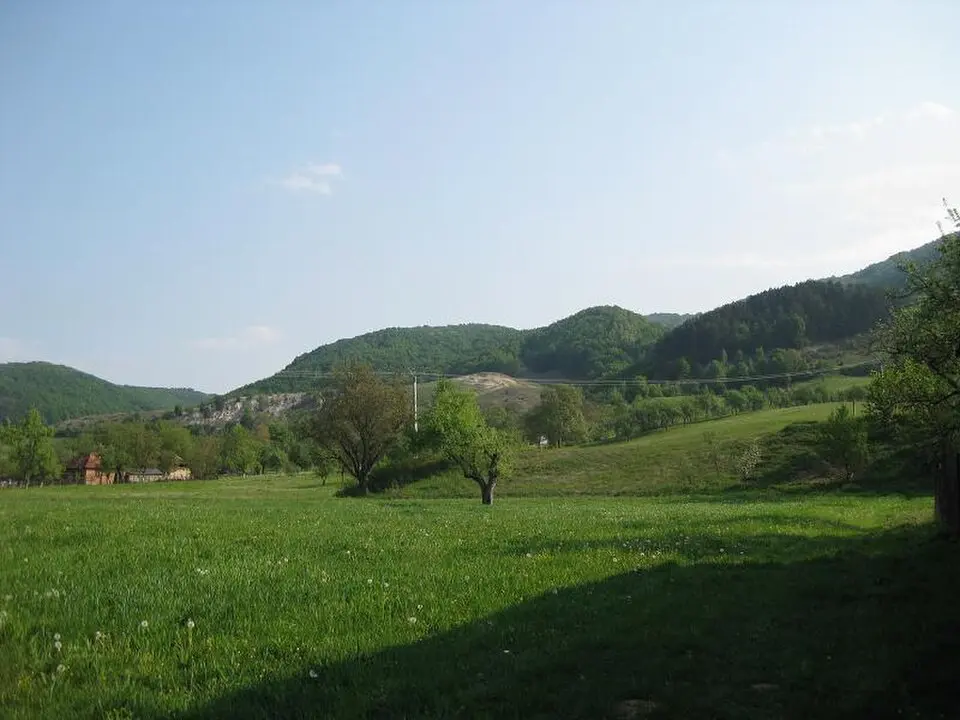 Borod