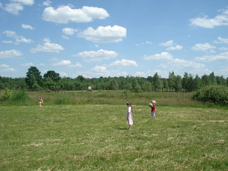 Cezarów