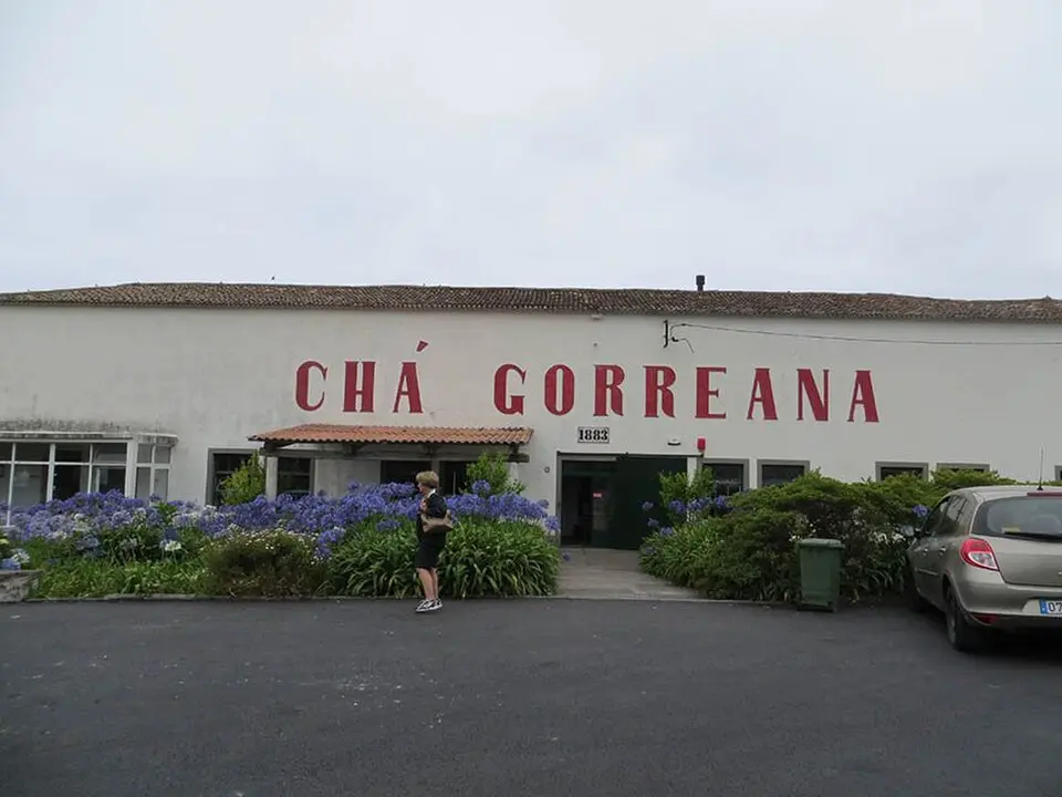 Fábrica de Chá Gorreana