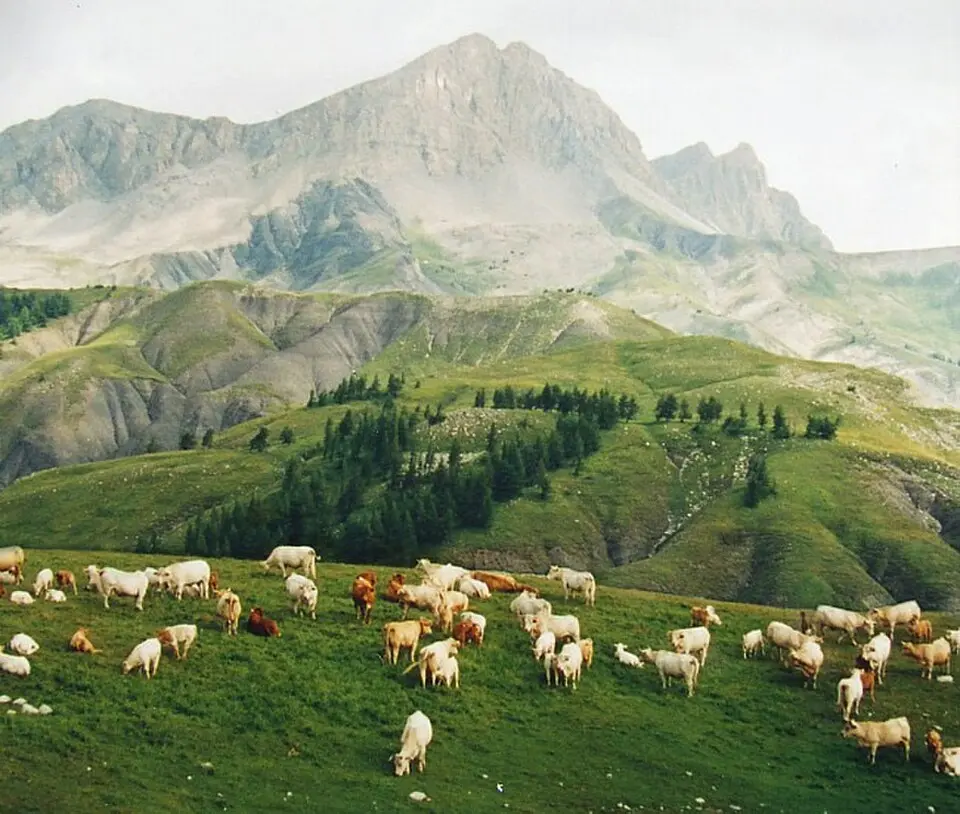 col des Champs