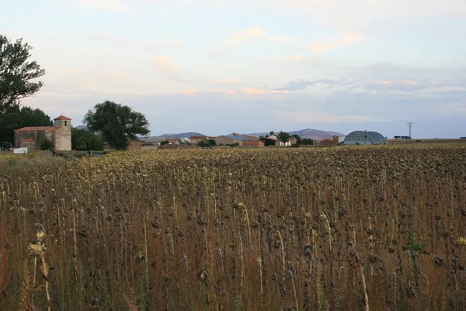 Immagine: Jaime Calatayud · CC BY-SA 4.0 Villaseca de Arciel