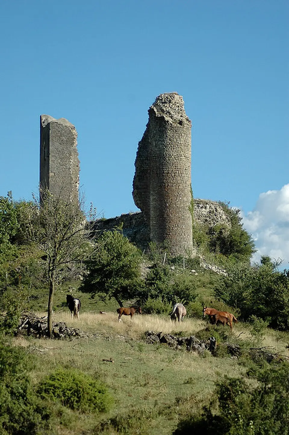 château des comtes de Poitiers