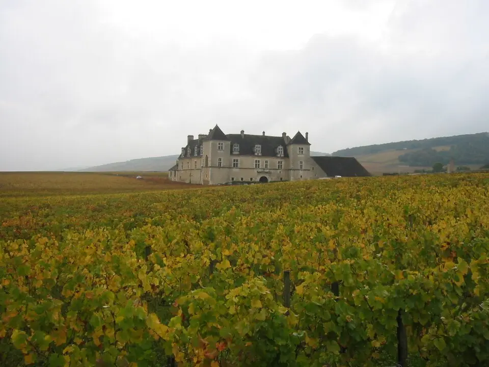 Clos-vougeot
