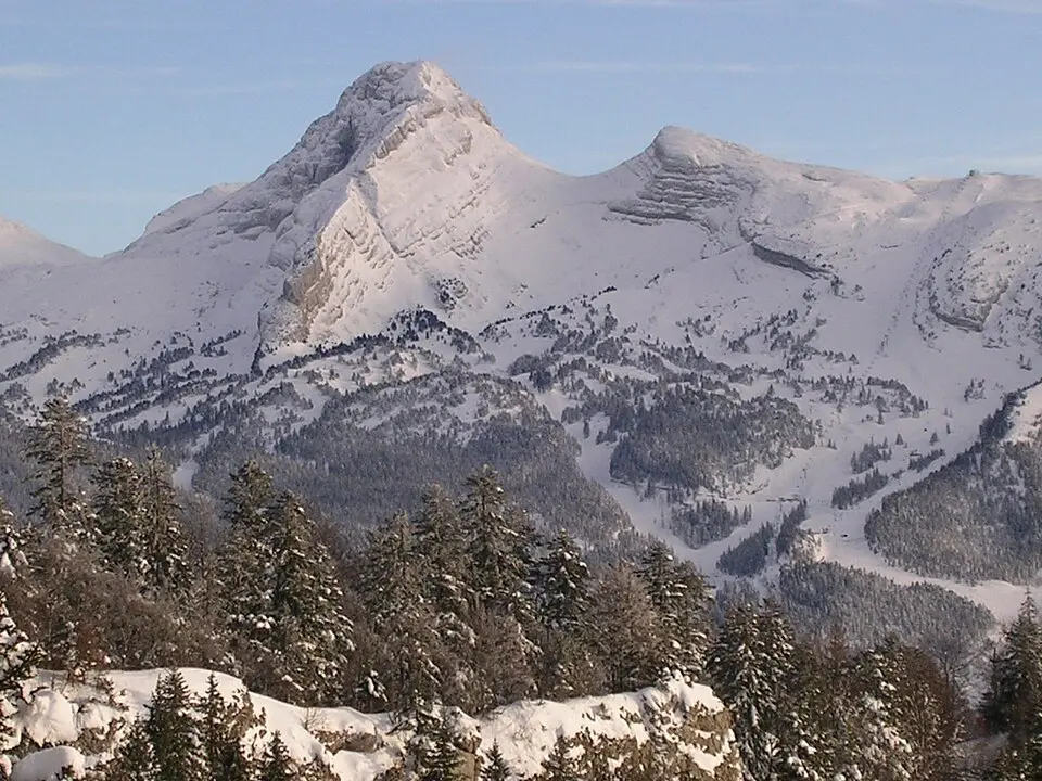 La Grande Moucherolle