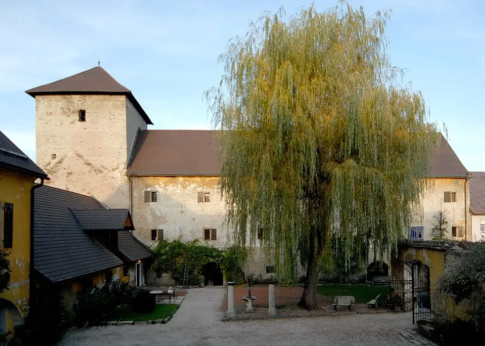 Herzogsburg (St. Veit an der Glan)