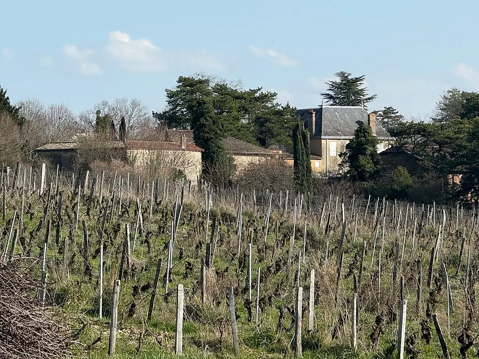 Bild: Chabe01 · CC BY-SA 4.0 château de Chazoux
