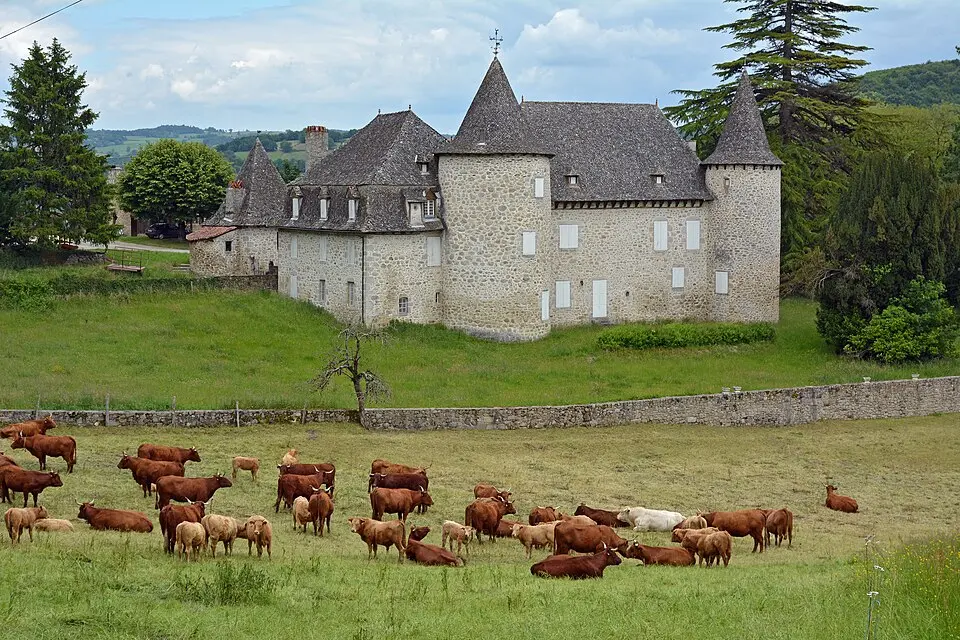 château d'Entraigues