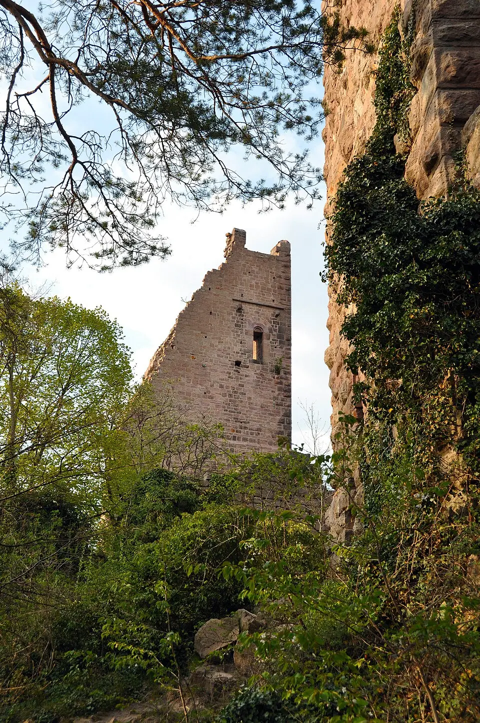Château de Dagsbourg