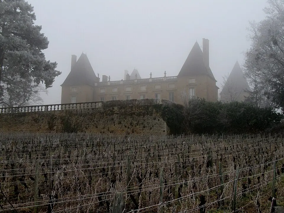 Château de Layé